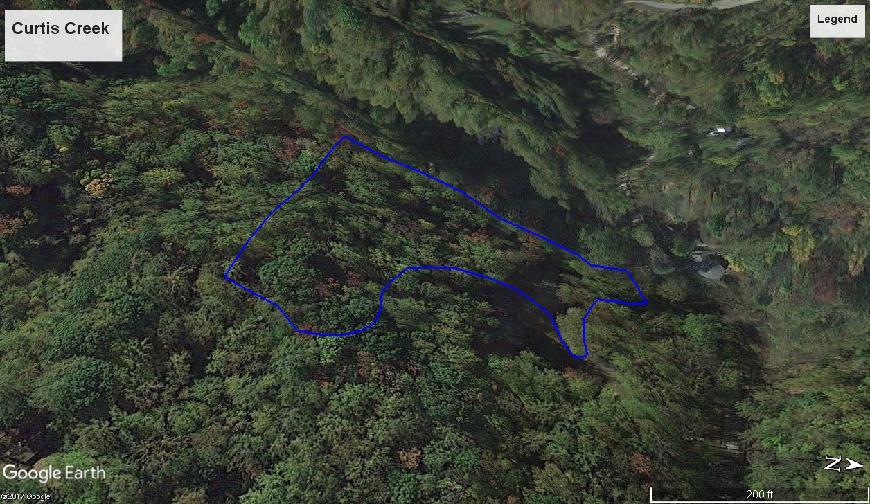 Candler Asheville Real Estate Foreclosure Keller Williams Realty